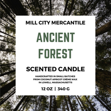Load image into Gallery viewer, ANCIENT FOREST - CANDLE