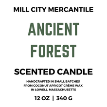 Load image into Gallery viewer, ANCIENT FOREST - CANDLE
